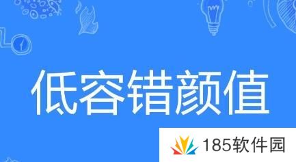 低容错颜值是什么梗网络用语-低容错颜值梗意思及出处分享