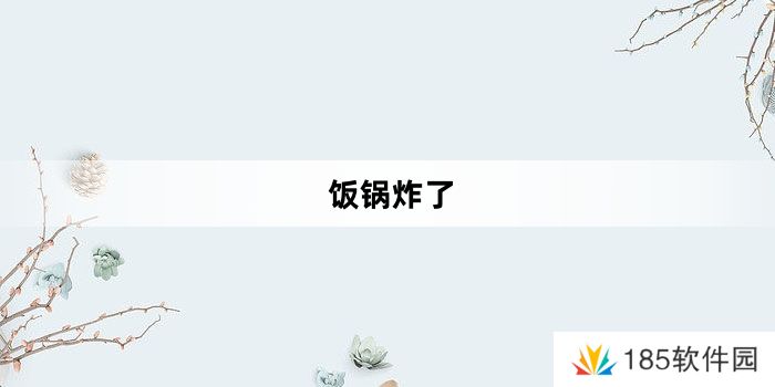 饭锅炸了是什么梗网络用语-饭锅炸了梗意思及出处分享