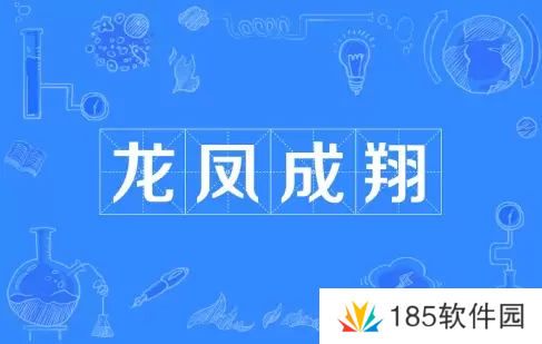 龙凤成翔是什么梗网络用语-龙凤成翔梗意思及出处分享