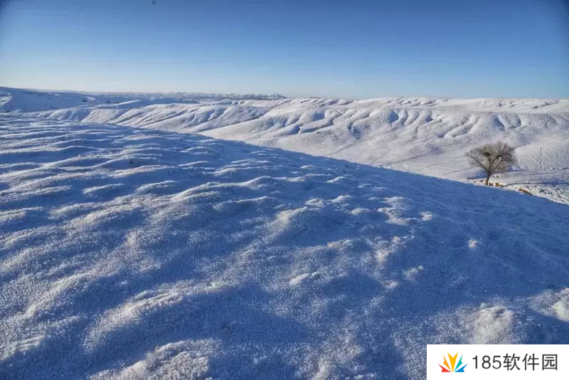 雪地里藏不住死孩子是什么梗网络用语-雪地里藏不住死孩子梗意思及出处分享