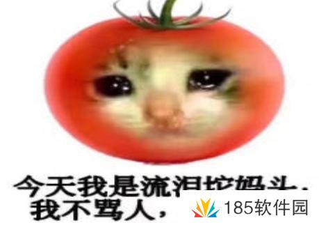 网络用语坨妈头是什么梗