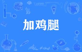 网络用语摄影师晚餐加根鸡腿是什么梗