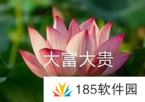 花开富贵是什么梗网络用语-花开富贵梗意思及出处分享