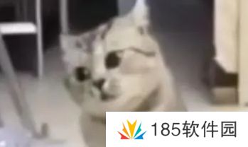 网络用语夹子变嘎子是什么梗