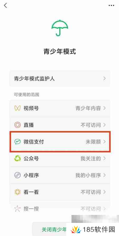 微信青少年模式如何设置限制付款 微信青少年模式设置限制付款教程